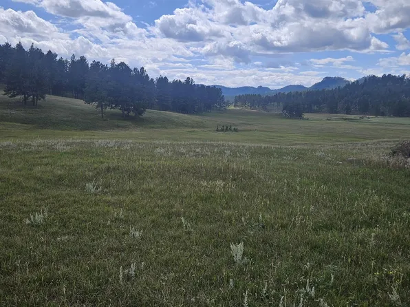 25381 Wind Song Valley Rd, Custer, SD 57730