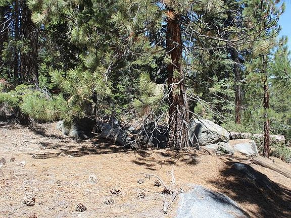 2nd image of 57406 Ponderosa Dr