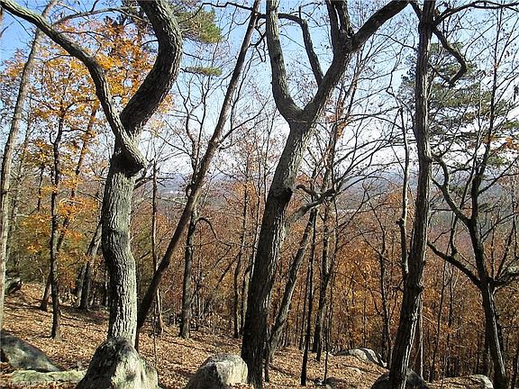 4th image of 1048 Sierra Trace Rd