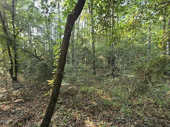 3rd image of Stump Rd