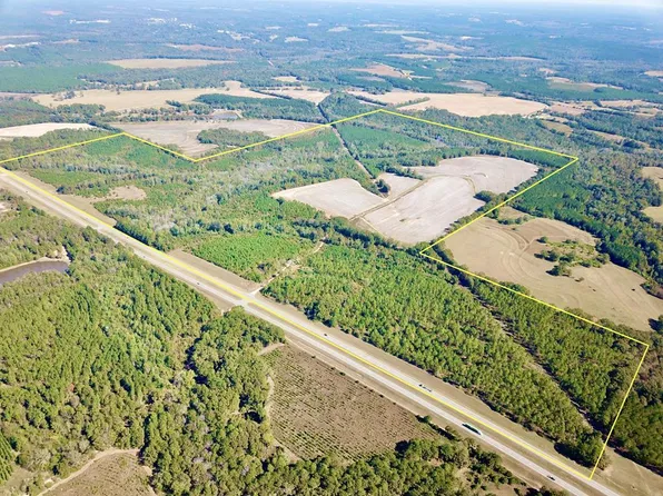290 Acres Hwy #431, Abbeville, AL 36310