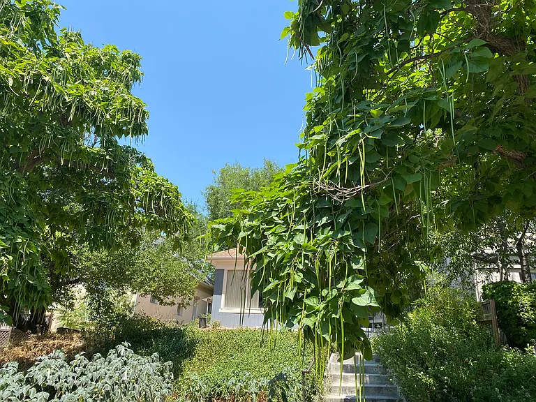 909 E 1st Ave #STUDIO — Photo 7
