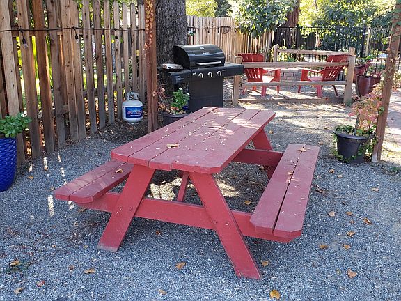 Side yard bbq and picnic