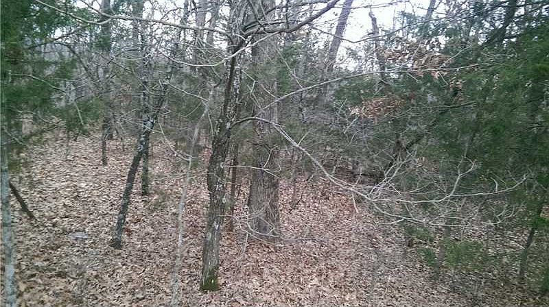 2nd image of Posy Mountain Dr