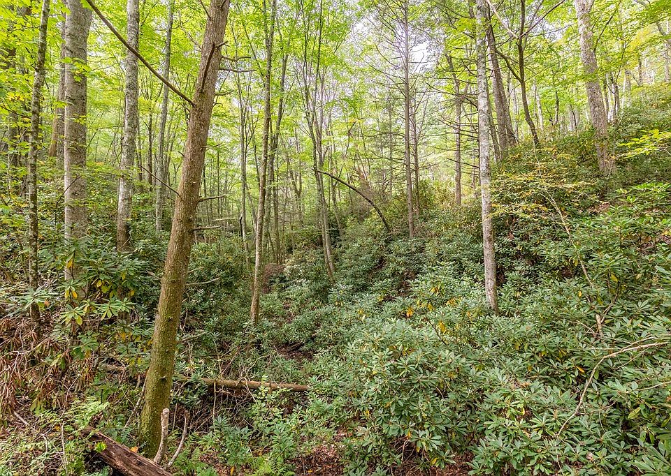 Genes Ln, Bland, VA 24315 MLS 89338 Zillow