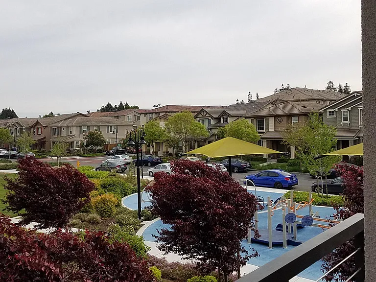 Jubilee Dr — Photo 3