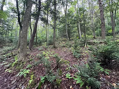 Property photo 32