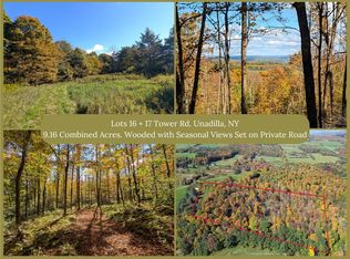 16-17 Tower Rd, Unadilla, NY 13849