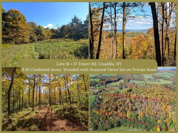 16-17 Tower Rd, Unadilla, NY 13849
