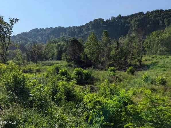 Inthepines Cir, Dungannon, VA 24245