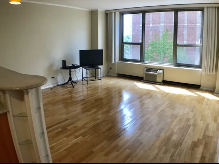 1550 N Lake Shore Dr #4D — Photo 7