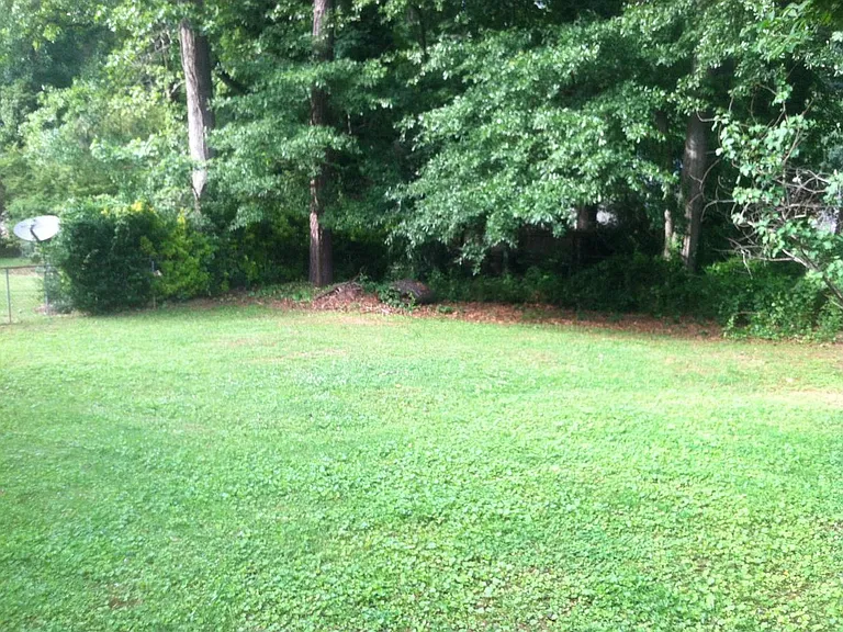 Backyard1