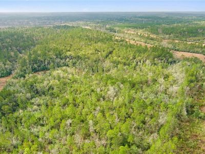 0 Andry Rd, Mount Vernon AL - Owner Finance Home