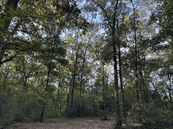 0 Buck Creek Rd, Shepherd, TX 77371
