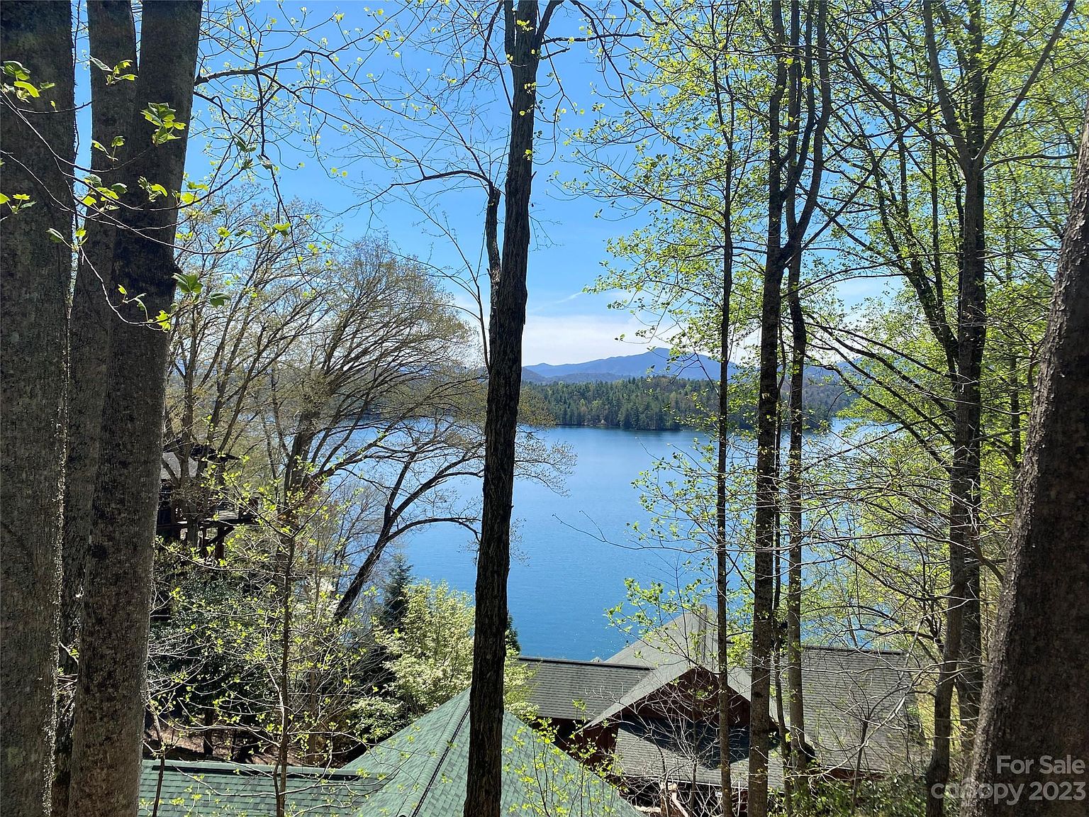 61 Black Bear Trl, Lake Santeetlah, NC 28771 Zillow