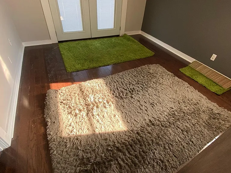 1003 Potter Ln — Photo 12