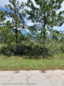 352 Otter Ave NW, Lake Placid, FL, 33852