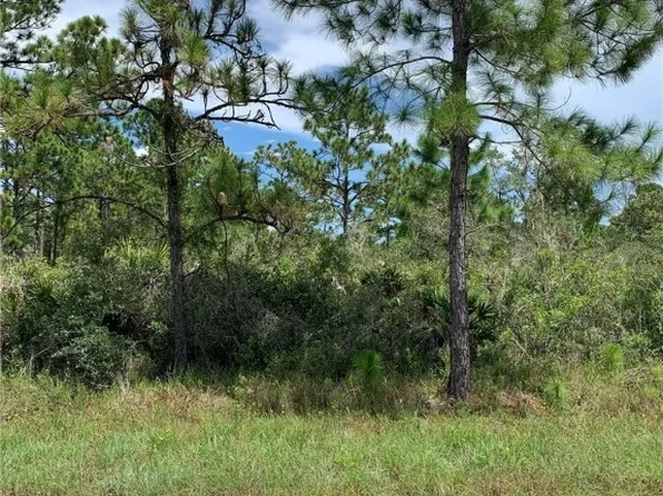 352 Otter Ave NW, Lake Placid, FL 33852