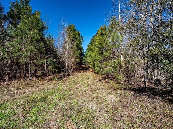 5th image of S Fifteen 48 Buckhead Rd