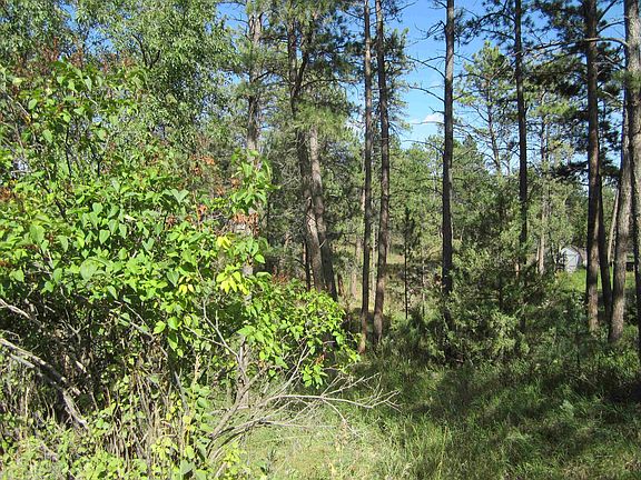 4th image of LOT Vm Pine Dr