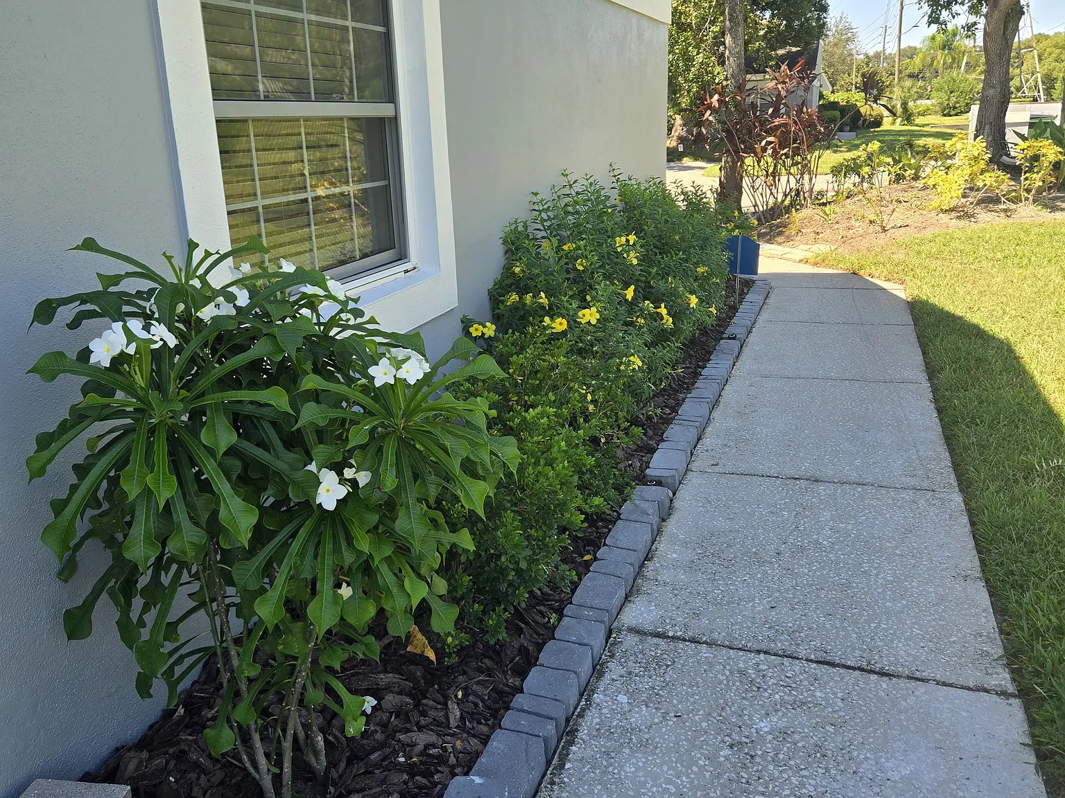 Cadhay Ct, Safety Harbor — Photo 2