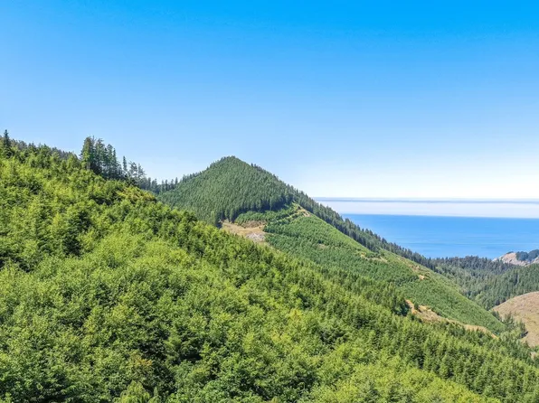 Highway 101, Nehalem, OR 97131