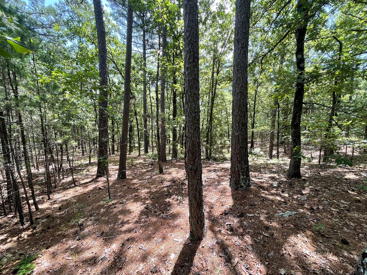 262A Monkey Ln BC, Moyers, OK 74557 Zillow