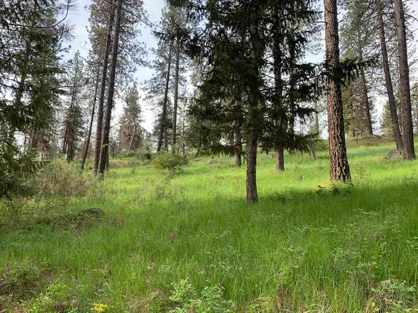 160XX N Austin Rd, Spokane, WA 99208