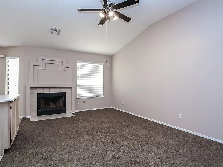 265 Prairie Rose St — Photo 8