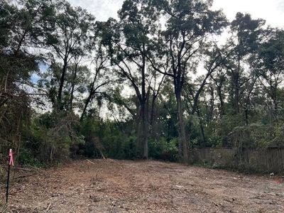 0 NW 181st Pl Lot 12, High Springs, FL, 32643