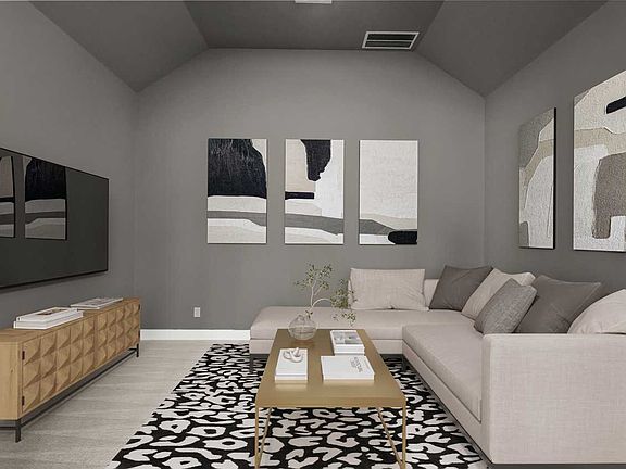 Entertainment Room