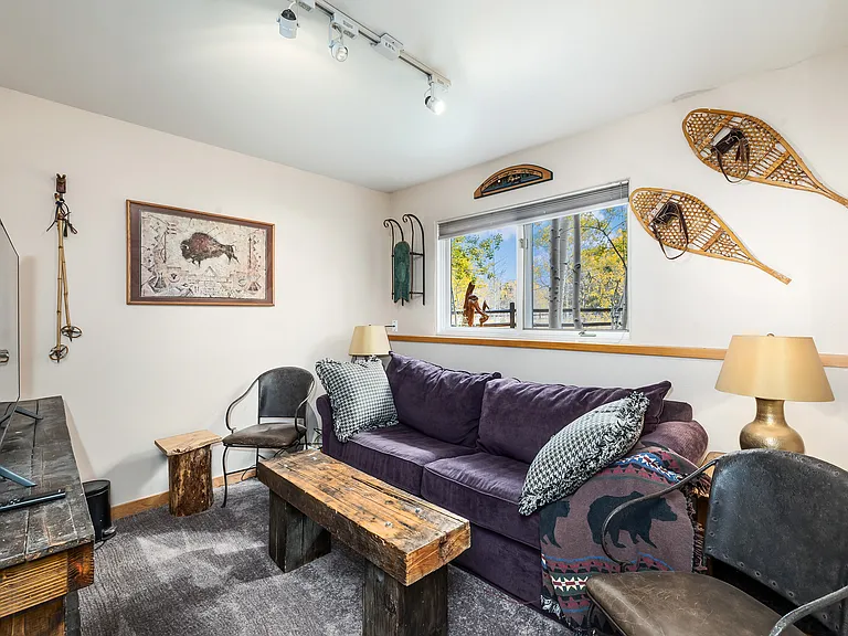 Lower level living area with queen size sofa bed