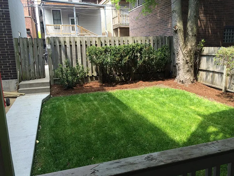 Yard