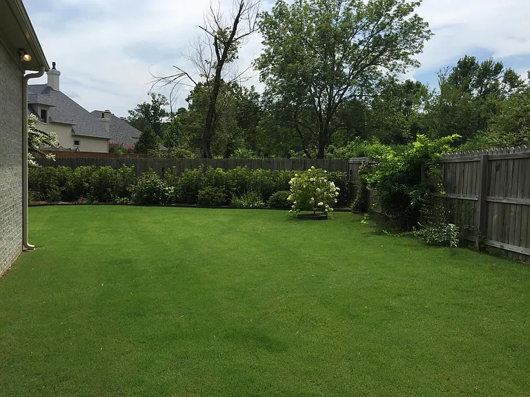 Back yard when the grass is greener!