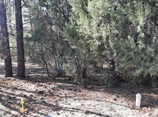 3321 W Mariposa Ln, Show Low, AZ 85901