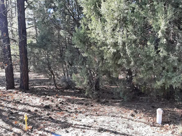 3321 W Mariposa Ln, Show Low, AZ 85901