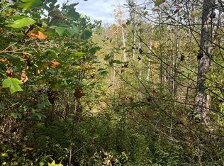 0 Stephens Branch Rd, Surveyor, WV 25932