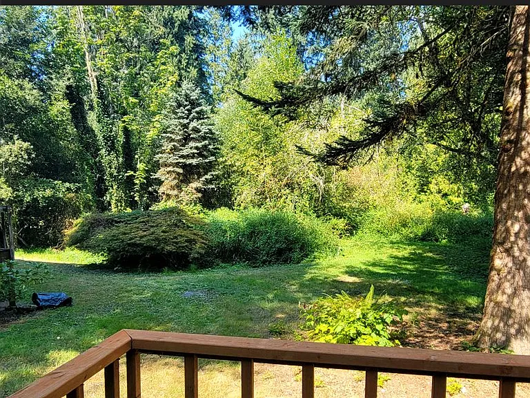 shared backyard space - salmon creek along the back perimeter