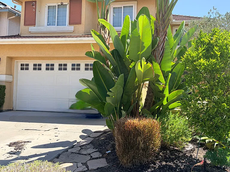 545 Sonoma St — Photo 2