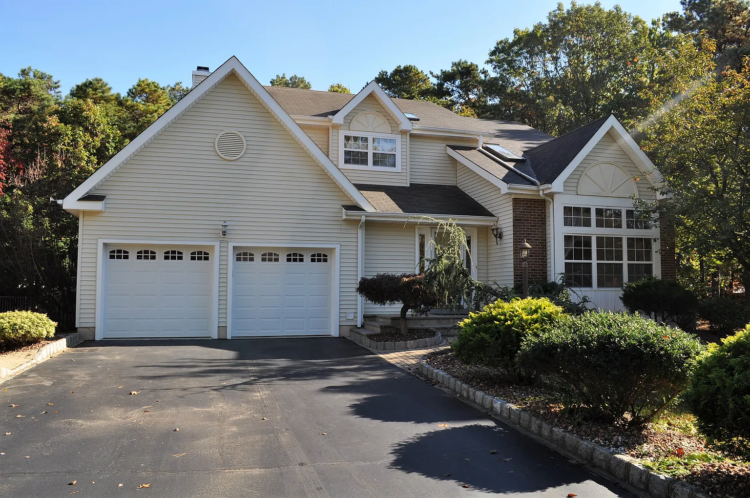 6 Dan Ct photo 1