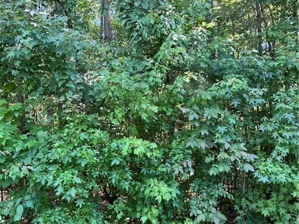 Warrior Way, Lexington, NC 27295