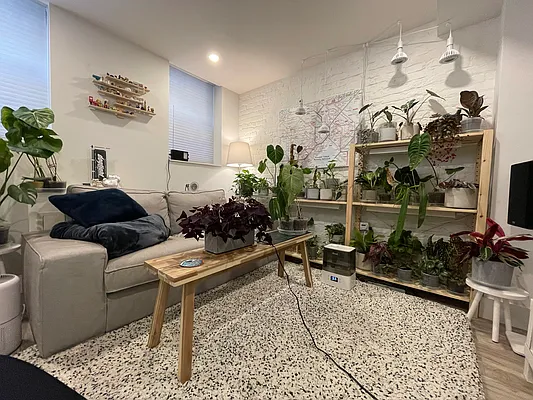 Rented by Compass | media 59