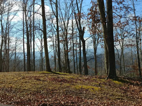 N Shorewood Dr, Caryville, TN 37714