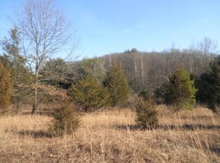 1114 Spearmint St, Stroudsburg, PA 18360