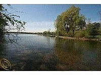 2659 Cove Ln photo 1