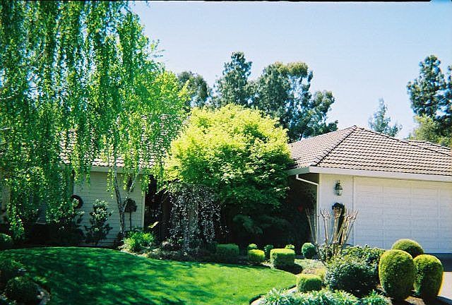 View from Street