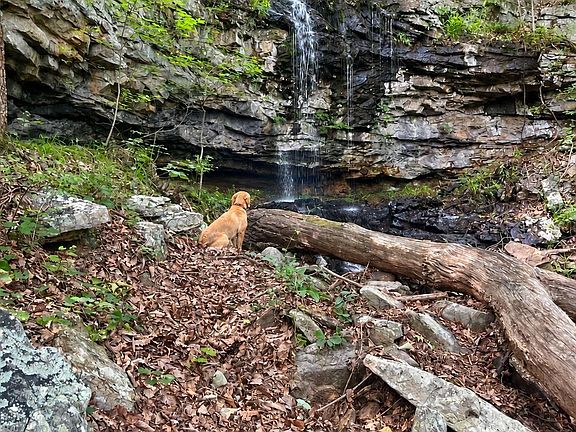 3rd image of Wade Point Rd SE
