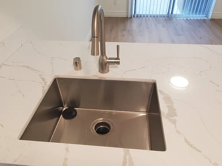 Stainless Sink and Disposal