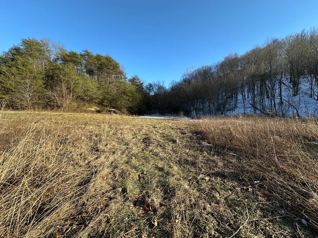 Real estate listing image