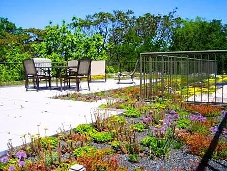 Green Roof Deck
